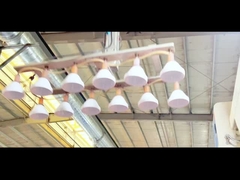 低価格で熱売り クッキーメーソンボトル プラスチックボトル